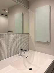 �����ڃX�b�L���I�J���W�����̖������[