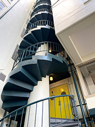 ��Ɍ������ĐL�т�S���̔��O�K�i