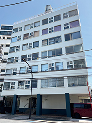 �����̃t�@�T�[�h�@�������炵���`��